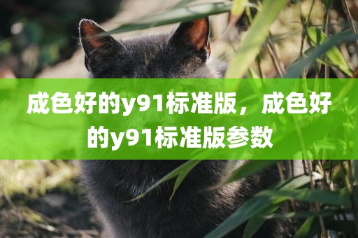 成色好的y91标准版，成色好的y91标准版参数