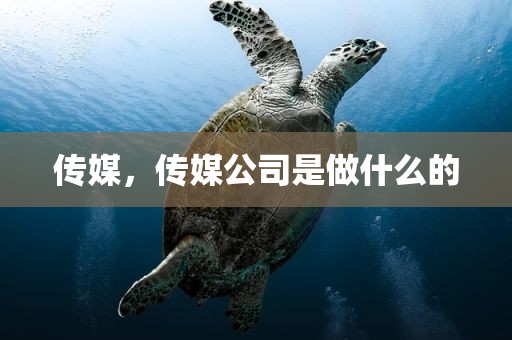 传媒，传媒公司是做什么的