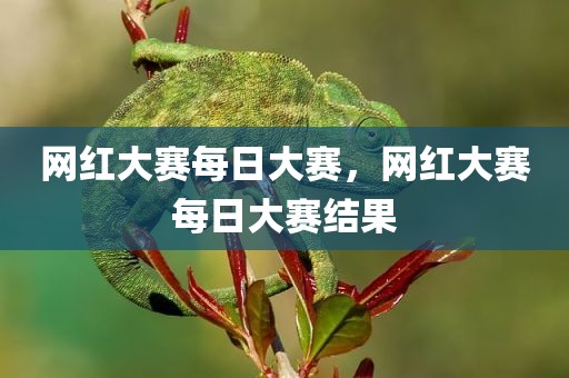 网红大赛每日大赛，网红大赛每日大赛结果
