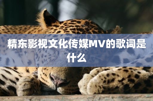 精东影视文化传媒MV的歌词是什么
