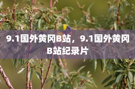 9.1国外黄冈B站，9.1国外黄冈B站纪录片