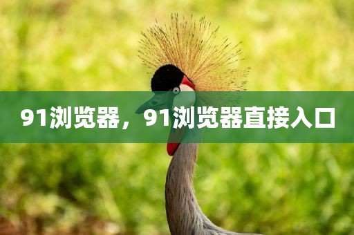 91浏览器，91浏览器直接入口