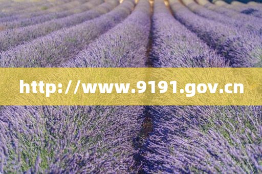 http://www.9191.gov.cn
