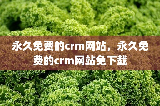永久免费的crm网站，永久免费的crm网站免下载