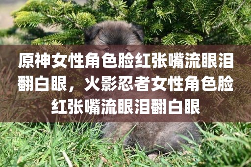 原神女性角色脸红张嘴流眼泪翻白眼，火影忍者女性角色脸红张嘴流眼泪翻白眼