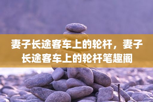 妻子长途客车上的轮杆，妻子长途客车上的轮杆笔趣阁