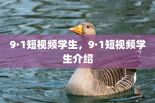 9·1短视频学生，9·1短视频学生介绍