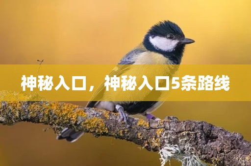 神秘入口，神秘入口5条路线