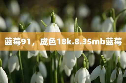 蓝莓91，成色18k.8.35mb蓝莓