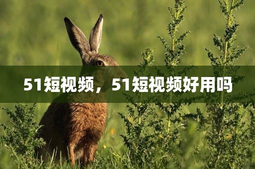 51短视频，51短视频好用吗