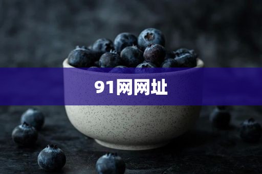 91网网址