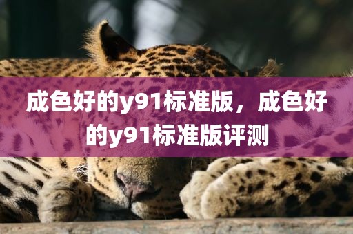成色好的y91标准版，成色好的y91标准版评测