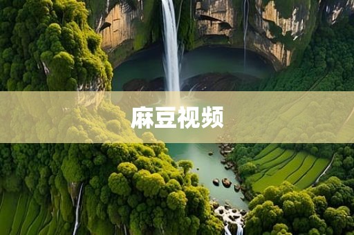 麻豆视频