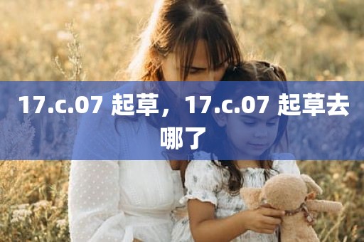 17.c.07 起草，17.c.07 起草去哪了