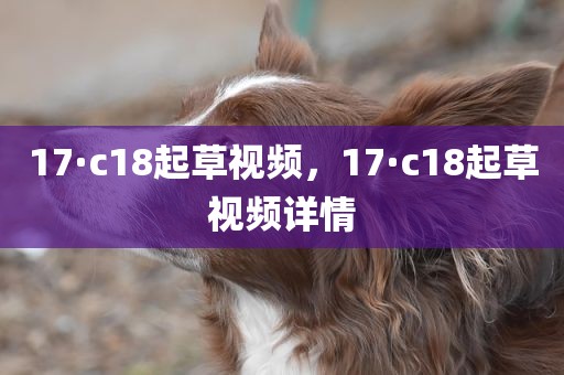 17·c18起草视频，17·c18起草视频详情