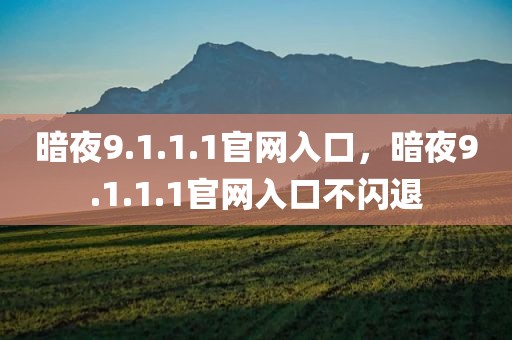 暗夜9.1.1.1官网入口，暗夜9.1.1.1官网入口不闪退