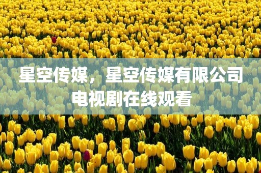 星空传媒，星空传媒有限公司电视剧在线观看