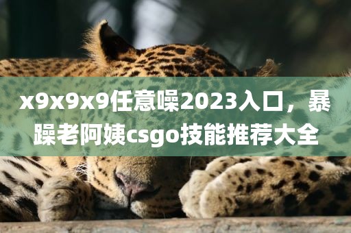 x9x9x9任意噪2023入口，暴躁老阿姨csgo技能推荐大全