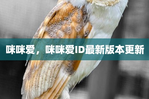 咪咪爱，咪咪爱ID最新版本更新
