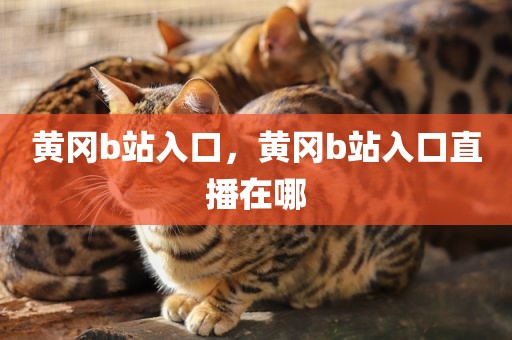 黄冈b站入口，黄冈b站入口直播在哪
