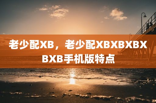 老少配XB，老少配XBXBXBXBXB手机版特点