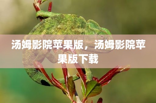 汤姆影院苹果版，汤姆影院苹果版下载