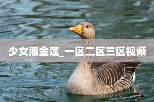 少女潘金莲_一区二区三区视频