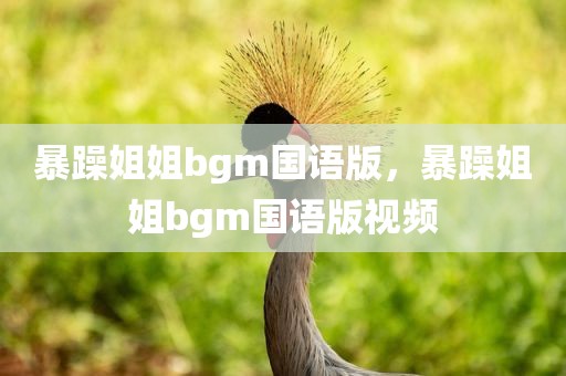 暴躁姐姐bgm国语版，暴躁姐姐bgm国语版视频