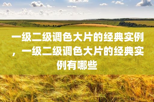 一级二级调色大片的经典实例，一级二级调色大片的经典实例有哪些