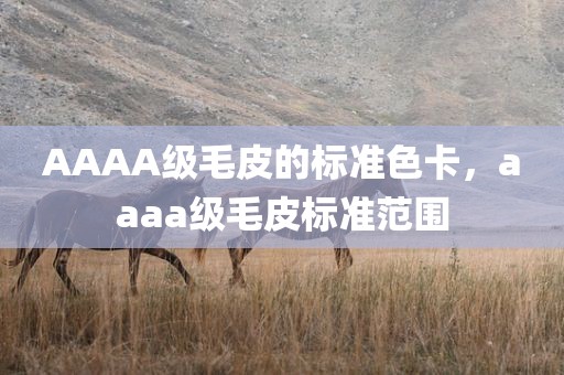 AAAA级毛皮的标准色卡，aaaa级毛皮标准范围