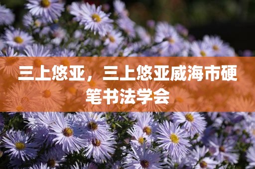 三上悠亚，三上悠亚威海市硬笔书法学会