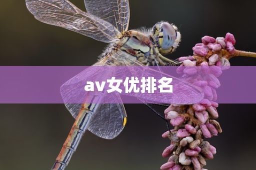 av女优排名