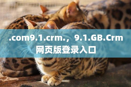 .com9.1.crm.，9.1.GB.Crm网页版登录入口