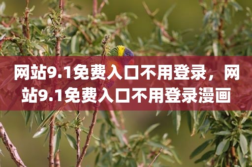 网站9.1免费入口不用登录，网站9.1免费入口不用登录漫画