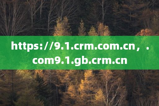https://9.1.crm.com.cn，.com9.1.gb.crm.cn
