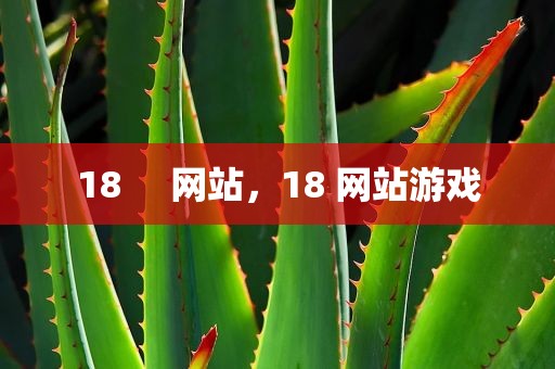 18     网站，18 网站游戏
