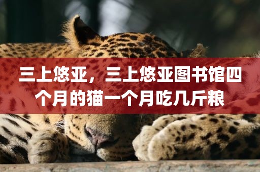 三上悠亚，三上悠亚图书馆四个月的猫一个月吃几斤粮