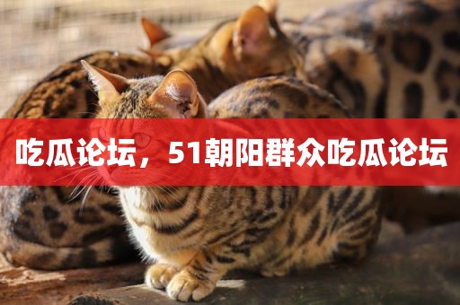 吃瓜论坛，51朝阳群众吃瓜论坛