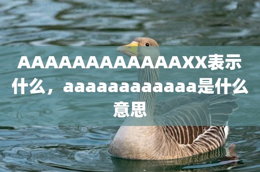 AAAAAAAAAAAAXX表示什么，aaaaaaaaaaaa是什么意思