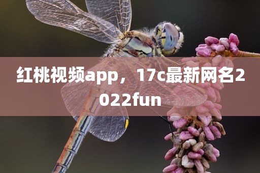 红桃视频app，17c最新网名2022fun