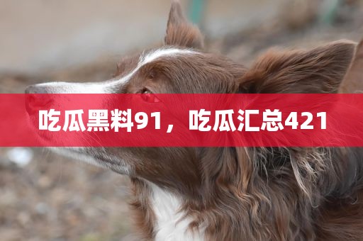 吃瓜黑料91，吃瓜汇总421