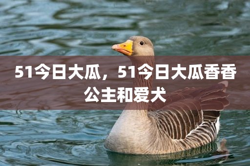 51今日大瓜，51今日大瓜香香公主和爱犬