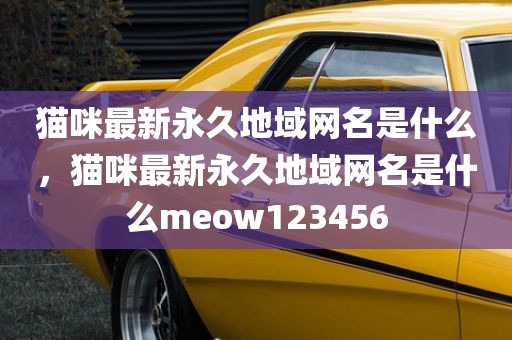 猫咪最新永久地域网名是什么，猫咪最新永久地域网名是什么meow123456