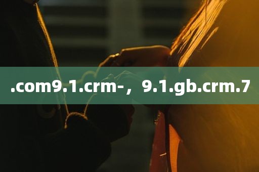 .com9.1.crm-，9.1.gb.crm.7