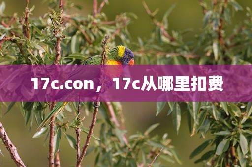 17c.con，17c从哪里扣费