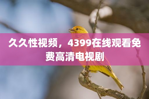 久久性视频，4399在线观看免费高清电视剧