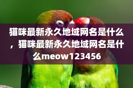 猫咪最新永久地域网名是什么，猫咪最新永久地域网名是什么meow123456