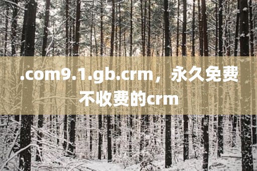.com9.1.gb.crm，永久免费不收费的crm