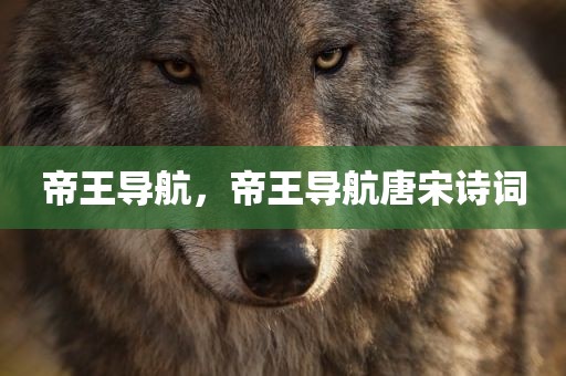 帝王导航，帝王导航唐宋诗词