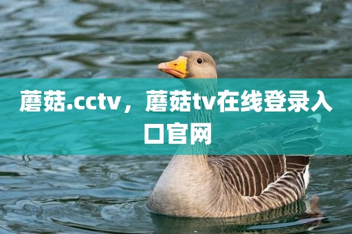 蘑菇.cctv，蘑菇tv在线登录入口官网